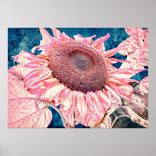 Giant Sunflowers Pink Teal Blue Vintage Poster