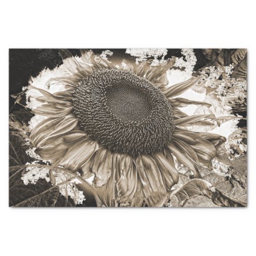Giant Sunflowers Rustic Sepia Tone Vintage Tissue Paper