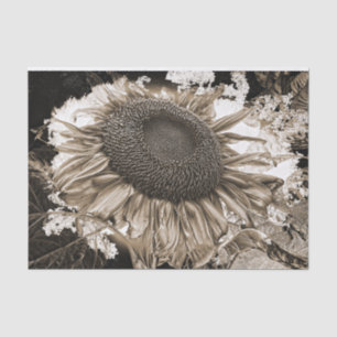 Giant Sunflowers Rustic Sepia Tone Vintage Tissue Paper