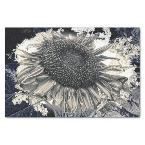 Giant Sunflowers Sepia Black White Vintage Rustic Tissue Paper