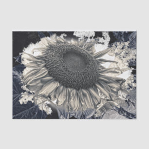 Giant Sunflowers Sepia Black White Vintage Rustic Tissue Paper