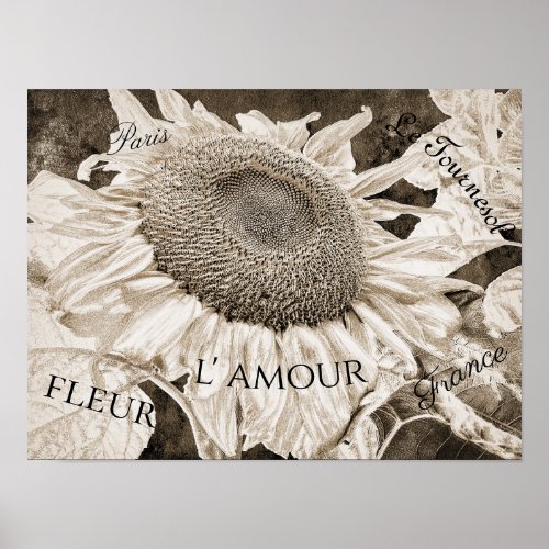 Giant Sunflowers Sepia Brown Texture Art Script Poster
