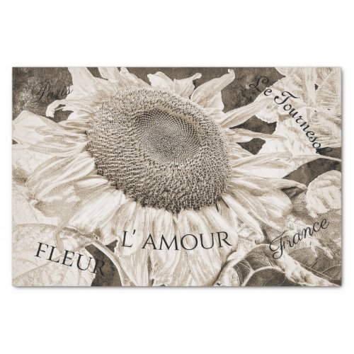 Giant Sunflowers Sepia Brown Texture Art Script Tissue Paper