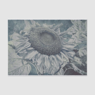 Giant Sunflowers Vintage Ash Gray Decoupage Tissue Paper