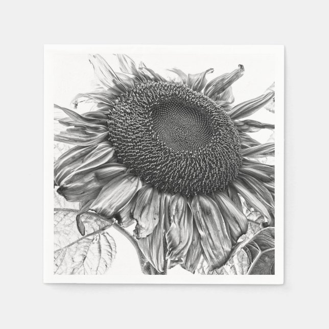 Giant Sunflowers Vintage Black And White Art Napkins (Front)