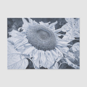 Giant Sunflowers Vintage Black And White Decoupage Tissue Paper