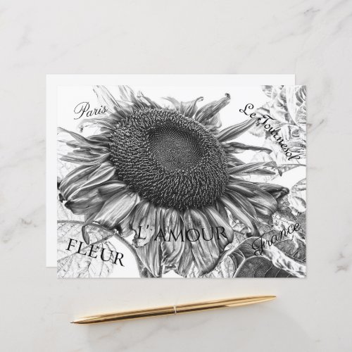 Giant Sunflowers Vintage Black And White Script