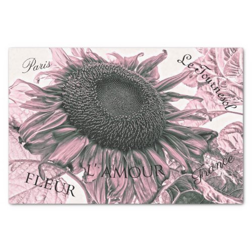 Giant Sunflowers Vintage Blush Pink Script Art Tissue Paper