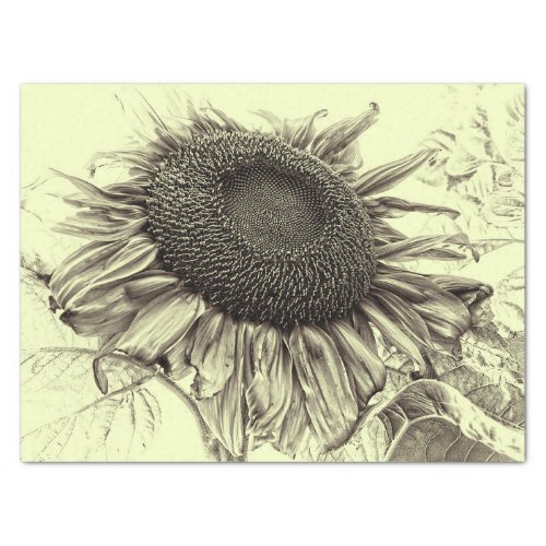 Giant Sunflowers Vintage Retro Yellow Decoupage Tissue Paper