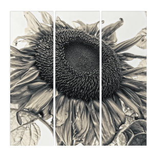 Giant Sunflowers Vintage Sepia Art