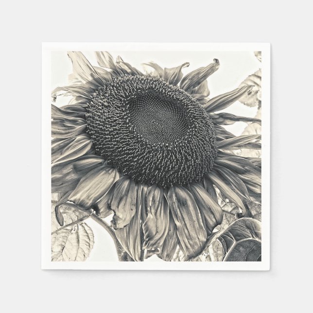 Giant Sunflowers Vintage Sepia Art Decoupage Napkins (Front)