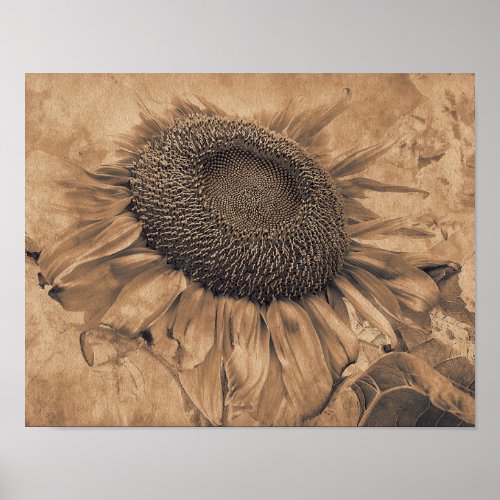 Giant Sunflowers Vintage Sepia Brown Floral Art Poster