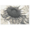 Giant Sunflowers Vintage Sepia Decoupage Art