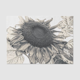 Giant Sunflowers Vintage Sepia Decoupage Art Tissue Paper