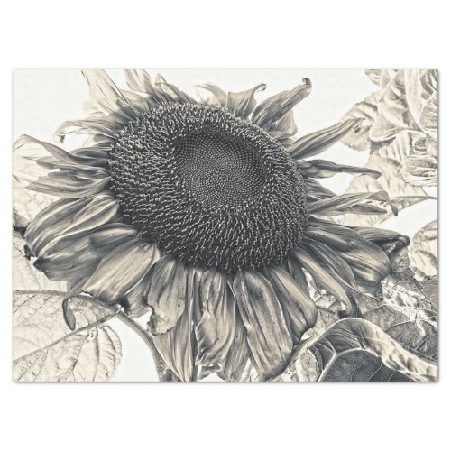 Giant Sunflowers Vintage Sepia Decoupage Art Tissue Paper