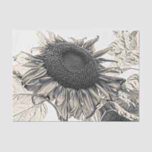 Giant Sunflowers Vintage Sepia Decoupage Art Tissue Paper