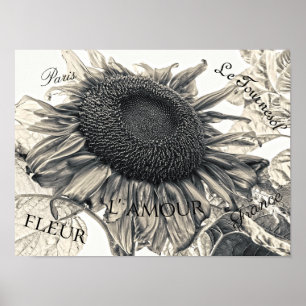 Giant Sunflowers Vintage Sepia Decoupage Ephemera Poster