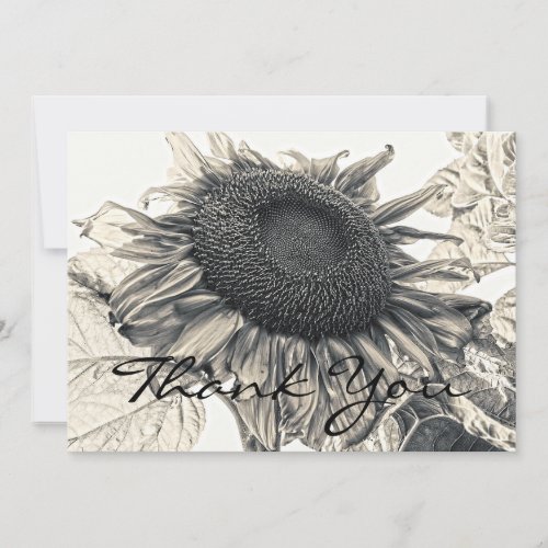 Giant Sunflowers Vintage Sepia Floral Art Thank You Card