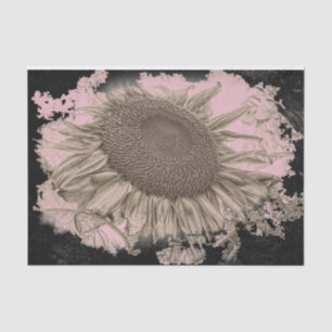 Giant Sunflowers Vintage Sepia Pink Black Vignette Tissue Paper