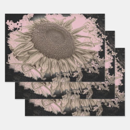 Giant Sunflowers Vintage Sepia Pink Black Vignette Wrapping Paper Sheets