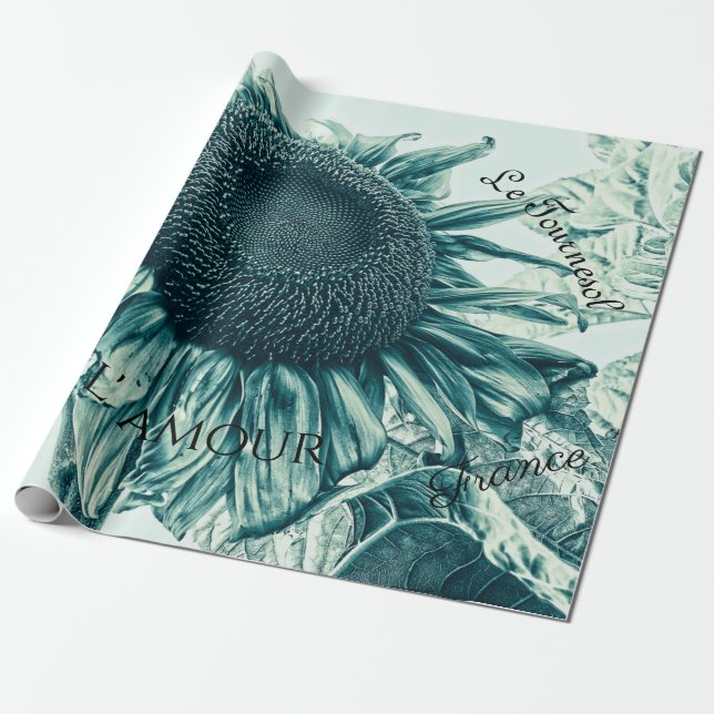 Giant Sunflowers Vintage Teal Green Script Wrapping Paper (Unrolled)