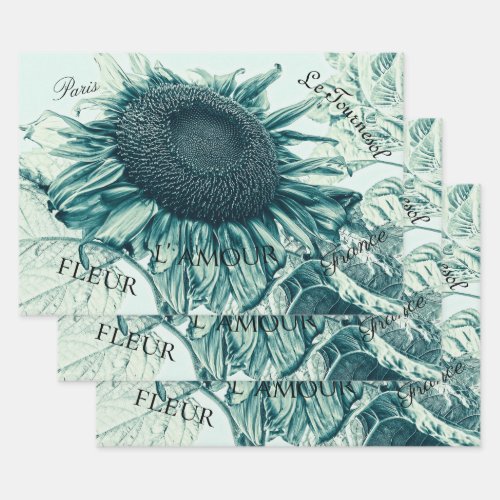 Giant Sunflowers Vintage Teal Green Script Wrapping Paper Sheets