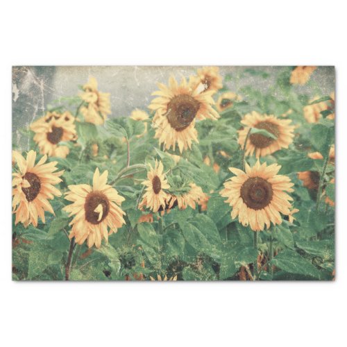 Giant Sunflowers Yellow Decoupage Art Floral Tissue Paper