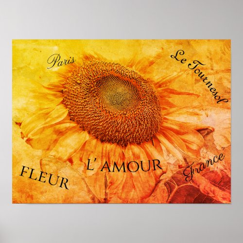 Giant Sunflowers Yellow Grunge Vintage Script Poster