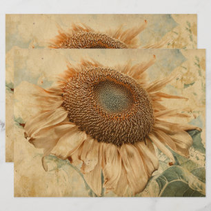 Giant Sunflowers Yellow Old Vintage Decoupage Art