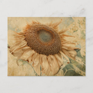 Giant Sunflowers Yellow Old Vintage Decoupage Art Postcard