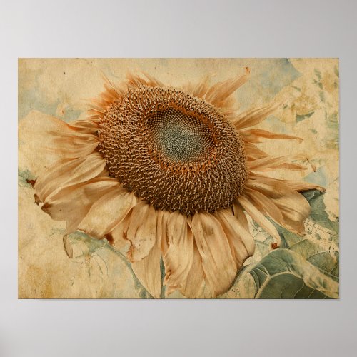 Giant Sunflowers Yellow Old Vintage Decoupage Art Poster