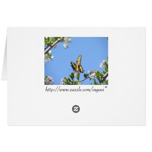 Giant Swallowtail Butterfly (Back Horizontal)