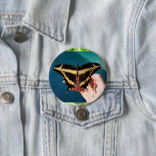Giant Swallowtail Butterfly Button