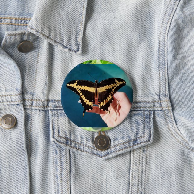 Giant Swallowtail Butterfly Button (In Situ)