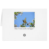 Giant Swallowtail Butterfly Cards (Back Horizontal)