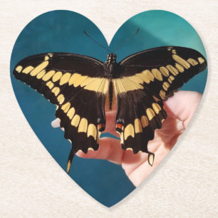 Giant Swallowtail Butterfly Paper Coaster
