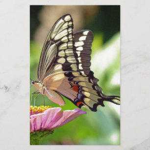 Giant Swallowtail Butterfly Stationery