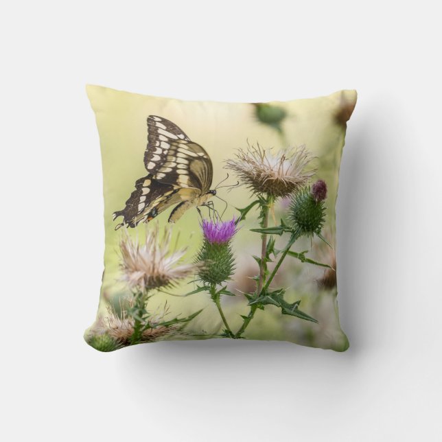 Giant Swallowtail Butterfly Throw Pillow (Front)
