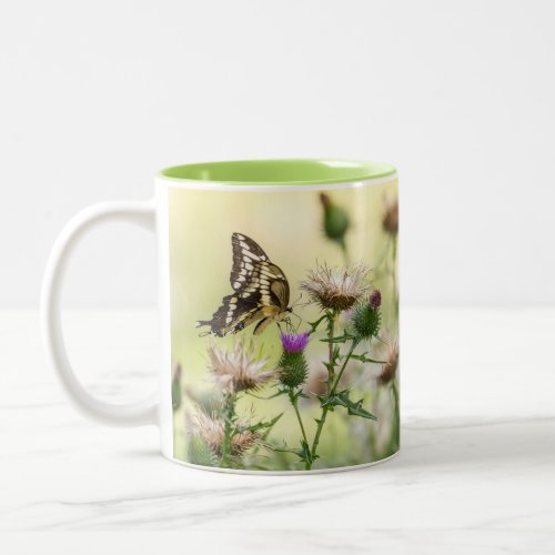 Giant Swallowtail Butterfly Two_Tone Coffee Mug