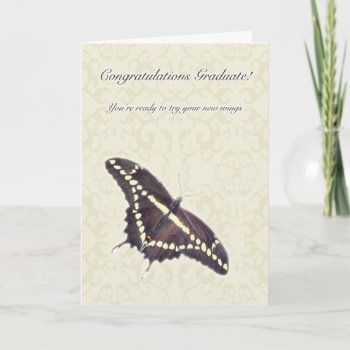 Giant Swallowtail Graduate Congratulations Card by CarolsCamera at Zazzle
