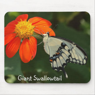 Giant Swallowtail mousepad