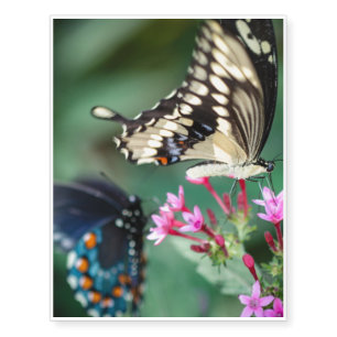 Giant Swallowtail Papilio Cresphontes Temporary Tattoos