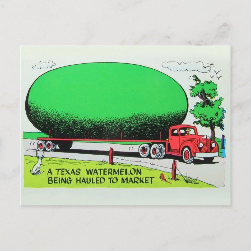 Giant Texas watermelon Postcard _ Vintage Cartoon 