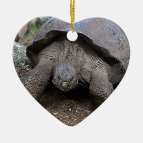 Giant tortoise Galapagos Islands Ceramic Ornament