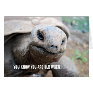 Giant Tortoise Memory Lapse Cards