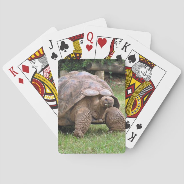 Giant tortoise poker cards (Back)