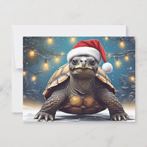 Giant Tortoise  Postcard