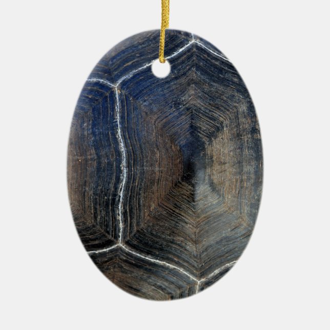 Giant tortoise shell detail Galapagos Ceramic Ornament (Front)