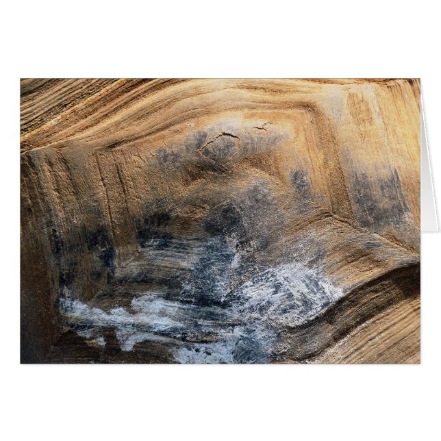 GIANT TORTOISE SHELL GREETINGS CARD (Front Horizontal)