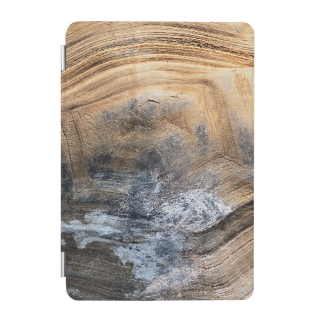 GIANT TORTOISE SHELL  iPad MINI COVER (Front)